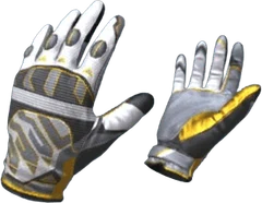 Gloves Champion